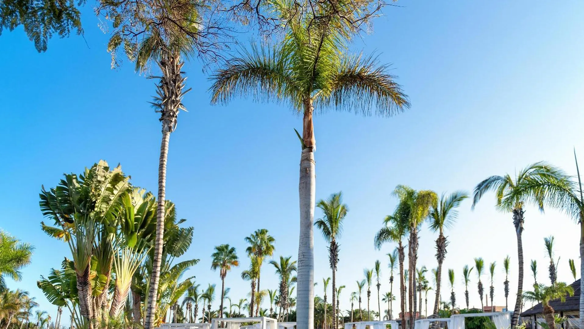 Maspalomas Princess Maspalomas (Gran Canaria)